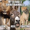 lion ass cheetah.jpg