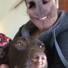 nose-face-swap.jpg