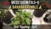 medic-grow-fold-8-banana-krumble-2ed-topping.jpg
