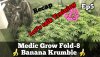 medicgrow-fold8-banana-krumble-ep5.jpg