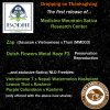 Bodhi Drop thanksgiving.jpg