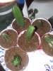 20220104_005223.jpg