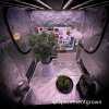 grow-with-medicgrow-smart8-spacementgrown-20220115-4.jpg