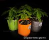 grow-with-medicgrow-smart8-spacementgrown-20220122-3.jpg