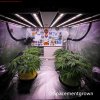 grow-with-medicgrow-smart8-spacementgrown-20220212-5.jpeg