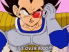 vegeta-its-over9000.gif