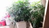 20160519_153512.jpg
