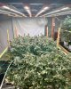 SE7000,Ins@headie_eddie_growshow-This table is going so well under these lights. We will be ch...jpg