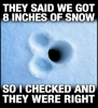 thumb_they-said-we-got-8-inches-of-snow-so-i-52062871.png