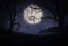 scary-halloween-landscape-night-trees-full-moon-106642607.jpg