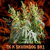 Tk x Skunkdog bx1 (1).png