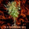 Tk x Skunkdog bx1.png