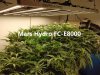 FC-E8000-fb@Yan-Now this FC-E8000 is really cover my flowering area! Thanks again Mars Hydro L...jpg