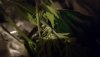 IMG-20230516-WA0006.jpeg