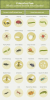 which-insects-benefit-your-garden-001.png