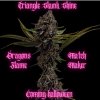 Triangle Skunk Shine - Matchmaker Genetics.jpg