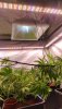 IMG-20240407-WA0001.jpeg