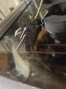IMG_6328.jpeg