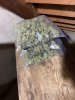 IMG_7679.jpeg