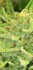 IMG_2114.jpeg