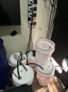 IMG_9413.jpeg