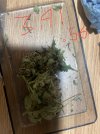 IMG_9600.jpeg