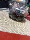 IMG_9770.jpeg