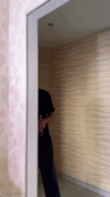 IMG_8581.gif
