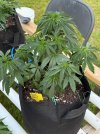 IMG_1642.jpeg