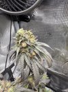 IMG_0628.jpeg