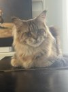 IMG_6423.jpeg