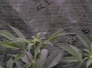IMG_0094.jpeg