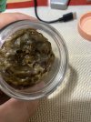IMG_0685.jpeg