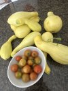 IMG_1800.jpeg