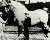 huge horse.jpg