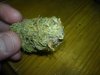 DSC00030.jpg