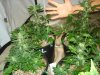 DSC08898.jpg