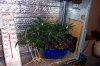 100_2319.jpg