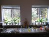 IMG_2307.jpg