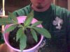 brick-jungle-44-albums-bagseed-babies-picture120542-picture-016.jpg