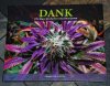 Dankbook.jpg