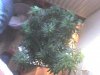 DSC00012.JPG