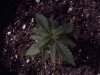 pics of mary 031.jpg