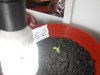 DSCN1057.jpg