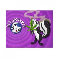 Looking for Real Skunk