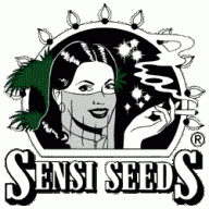 Galaxy-Seeds