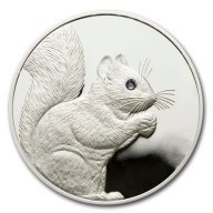Silver Squirrel