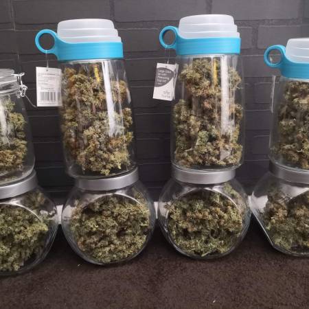 growdiaries.com