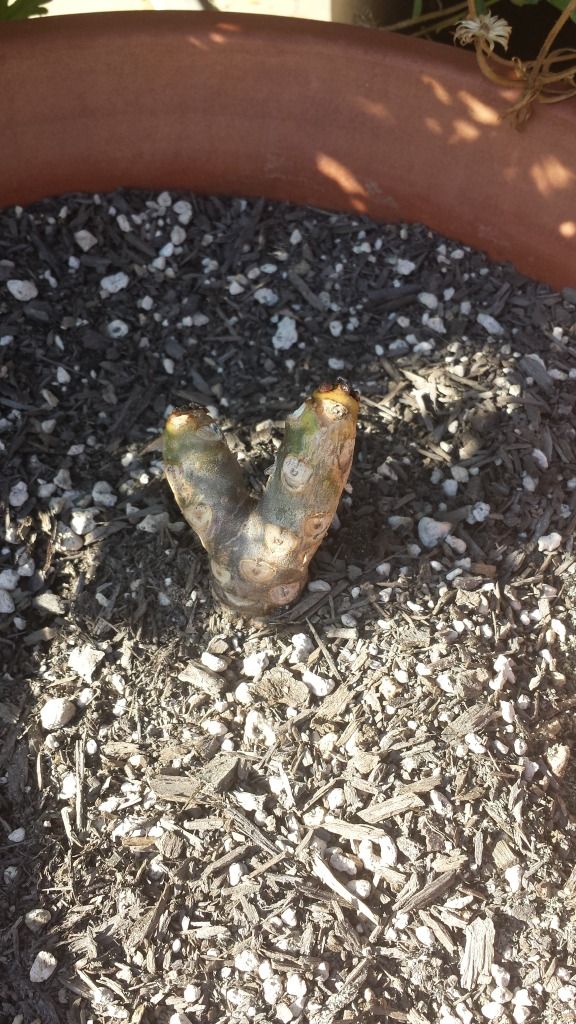 20140927_163812.jpg