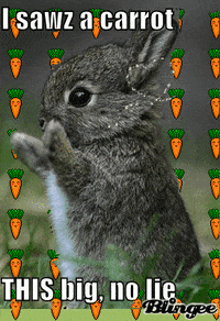 200w.gif